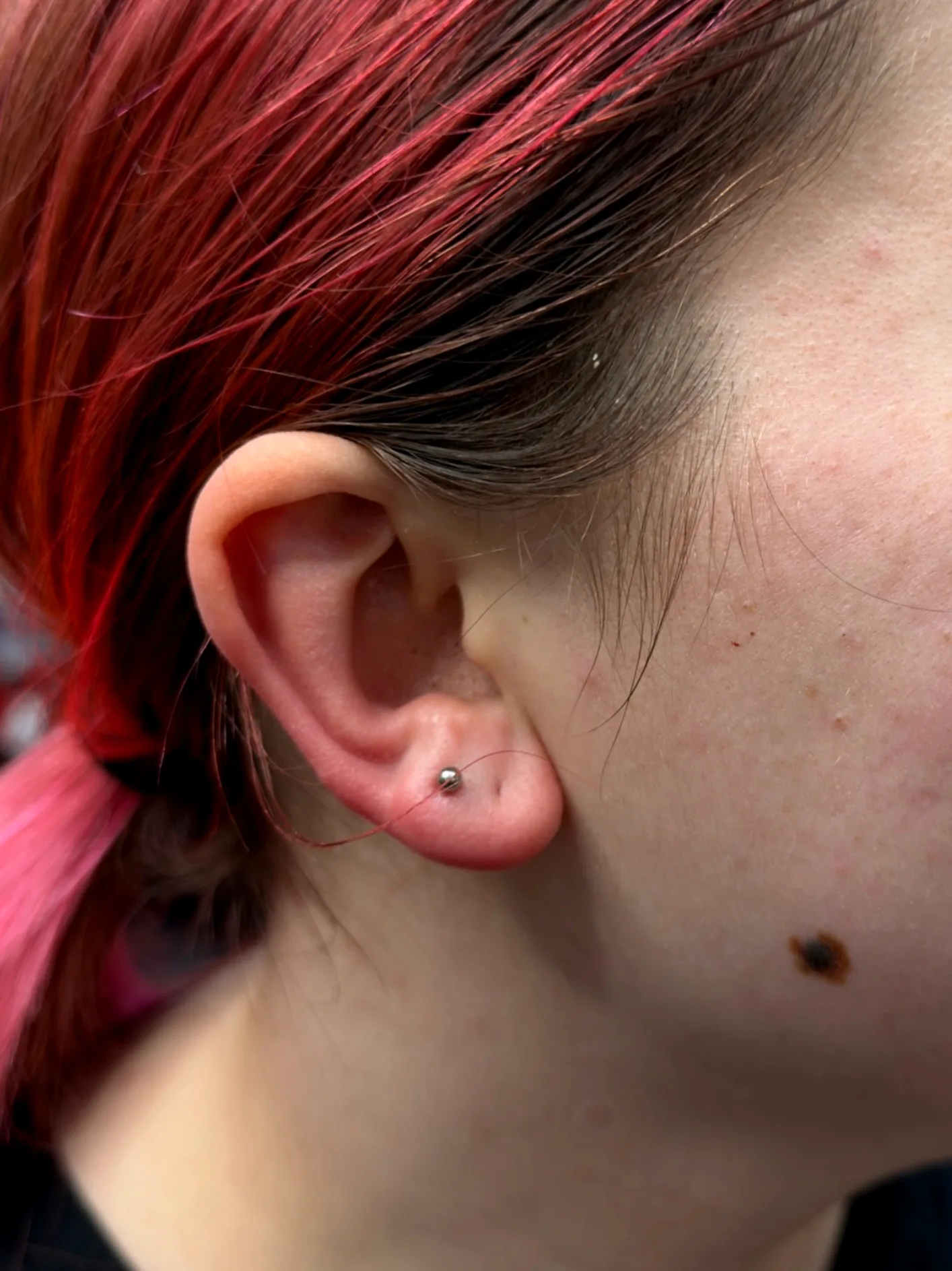 Close up of an earlobe piercing with a small silver stud